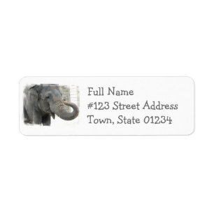 Étiquette de adresse de retour d'éléphant de son