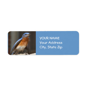 Étiquette de adresse d'oiseau bleu