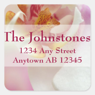 Étiquette de adresse Mariage Chartreuse White Orch