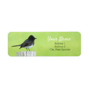 Étiquette de adresse noir d'oiseau de Phoebe