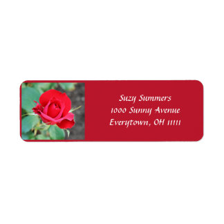 Étiquette de adresse Red Rose