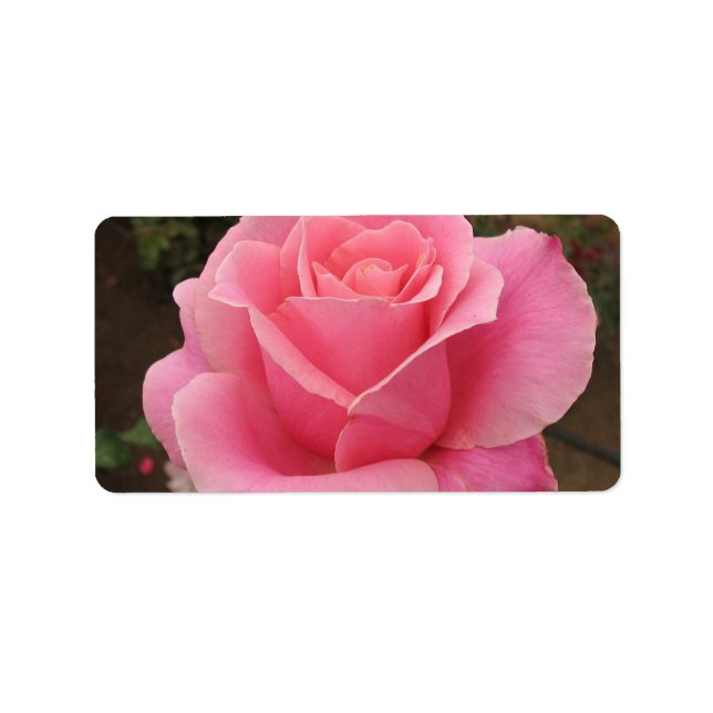Étiquette de adresse rose (Devant)