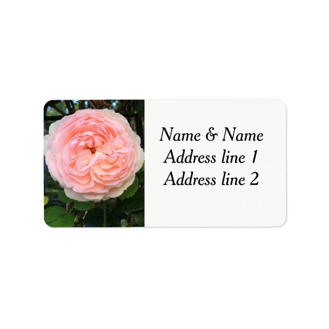 Étiquette de adresse rose (Devant)