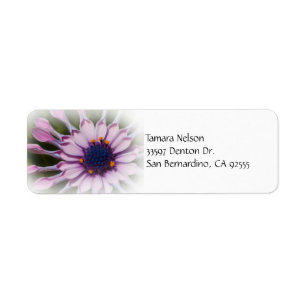Étiquette de adresse Rose Daisy