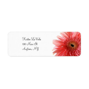 Étiquette de adresse rose de marguerite de Gerber
