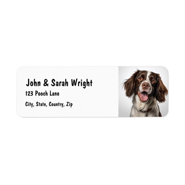 Étiquette de adresse Springer Spaniel Chien person (Devant)