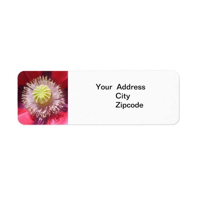 Étiquette de adresse Texas Pink Skullcap (Devant)