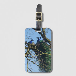 Étiquette de bagage à deux paons dans un arbre