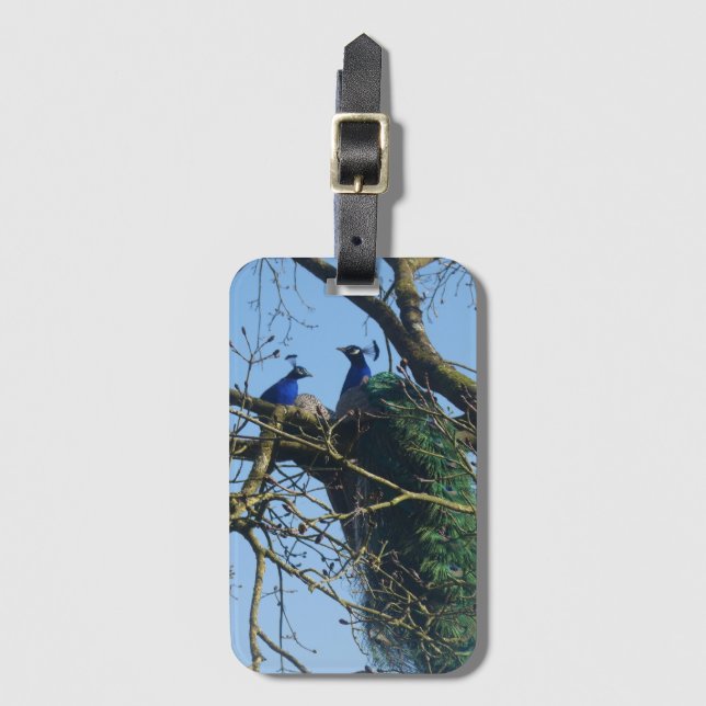 Étiquette de bagage à deux paons dans un arbre (Devant Vertical)