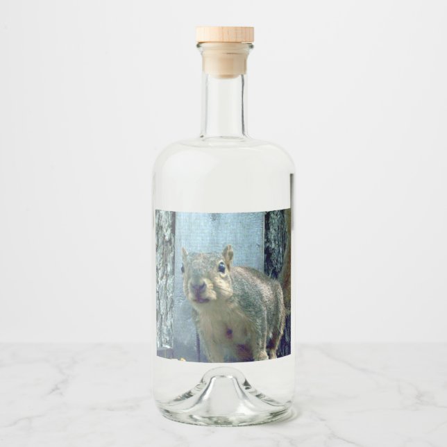 Étiquette de bouteille d'écureuil (Devant)