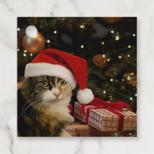 Étiquette de cadeau Santa Cat au pied de l'arbre d