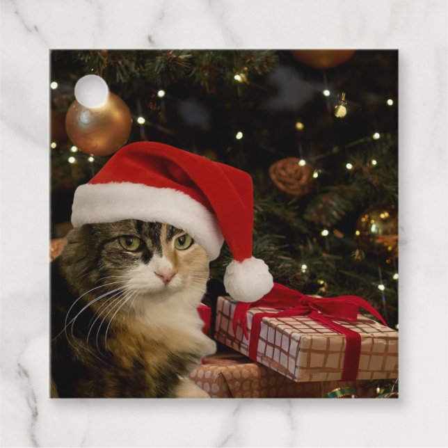Étiquette de cadeau Santa Cat au pied de l'arbre d (Devant)