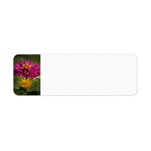 Étiquette de fleurs de Zinnia