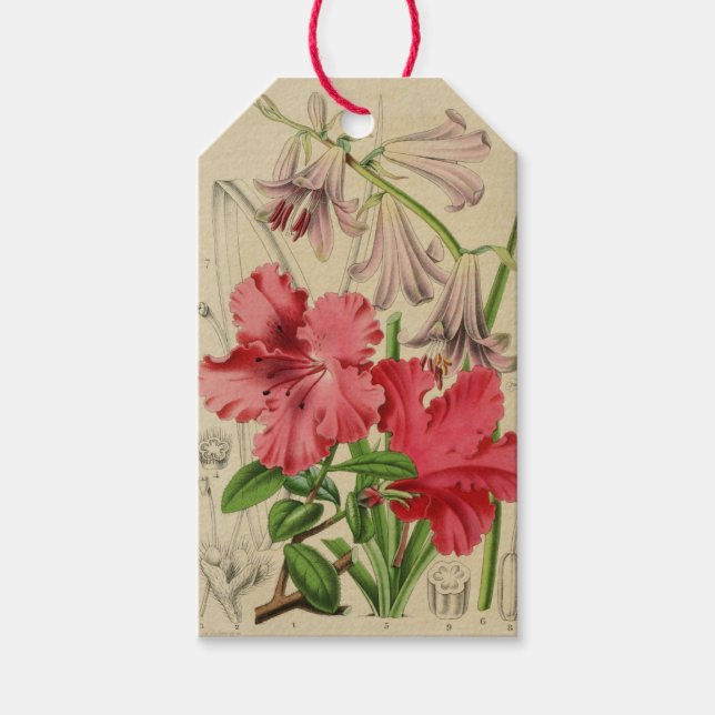 Étiquette de fleurs vintage (Devant)