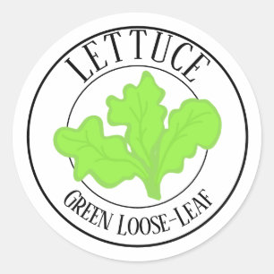 Étiquette de jardin de laitue feuille lâche verte