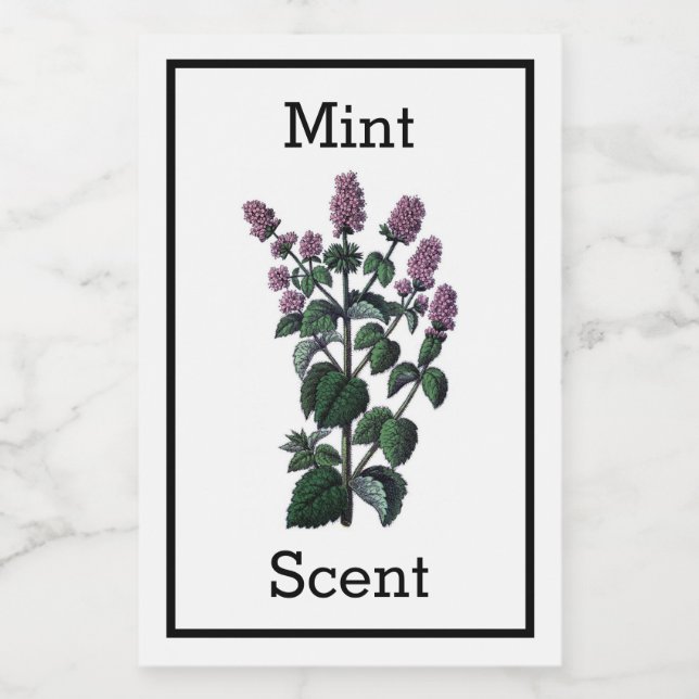 Étiquette de la monnaie antique (Étiquettes simples)