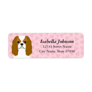Étiquette de l'adresse de retour Cavalier King Cha