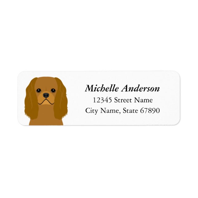 Étiquette de l'adresse de retour Cavalier King Cha (Devant)