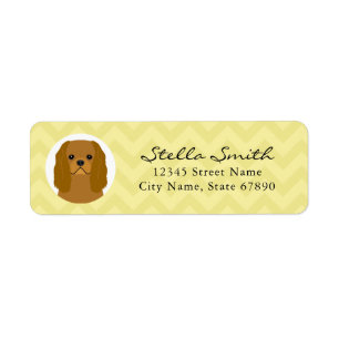 Étiquette de l'adresse de retour Cavalier King Cha