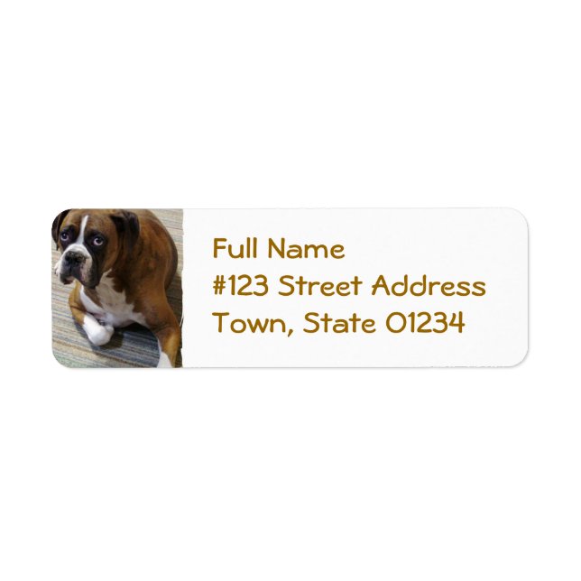 Étiquette de l'adresse de retour de chien de boîte (Devant)