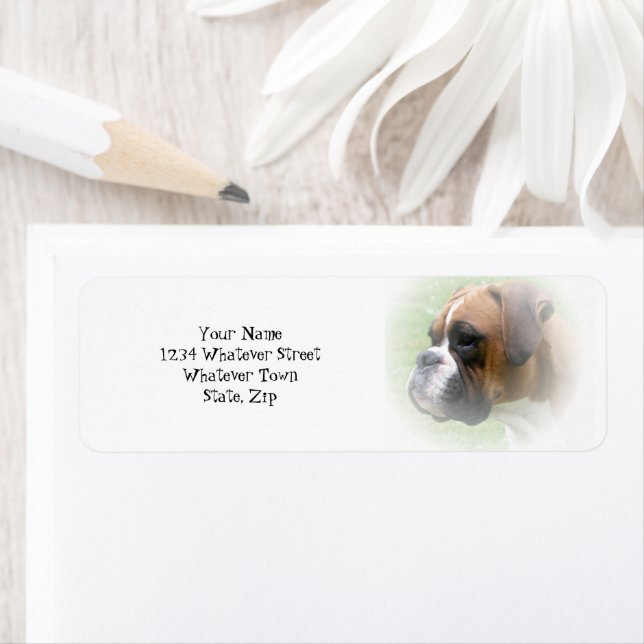 Étiquette de l'adresse de retour de chien de boîte (En situation)