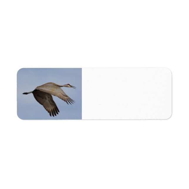 Étiquette de l'adresse de retour de Sandhill Crane (Devant)