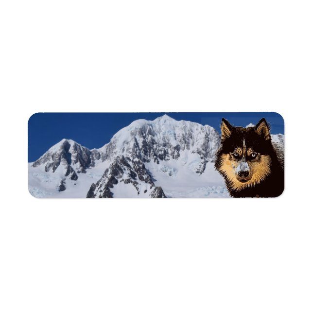 Étiquette de l'adresse de retour de Sibérie Husky (Devant)