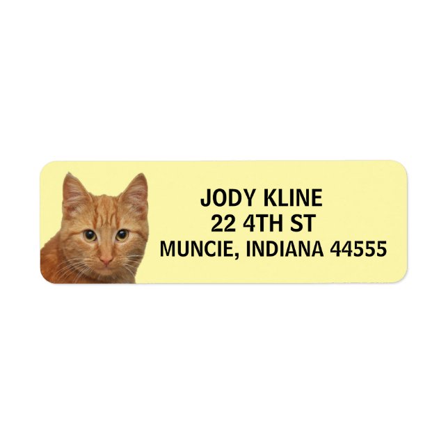 Étiquette de l'adresse de retour du CAT GINGER (Devant)