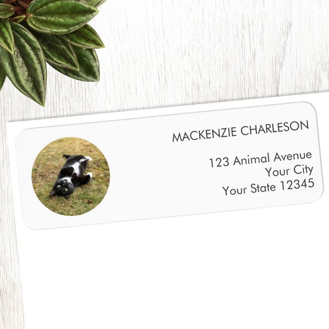 Étiquette de l'adresse de retour du cercle photo p (Personalized pet photo circle frame custom return address label)