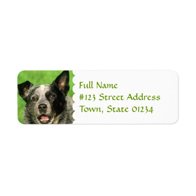 Étiquette de l'adresse de retour du chien de bétai (Devant)