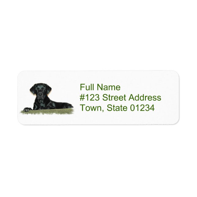 Étiquette de l'adresse de retour du chien du labor (Devant)