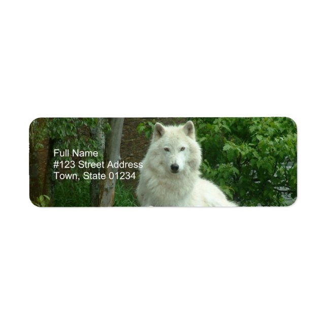 Étiquette de l'adresse de retour du loup arctique (Devant)