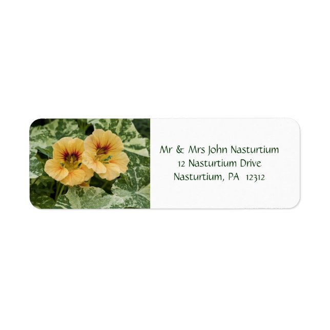 Étiquette de l'adresse de retour Nasturtium (Devant)
