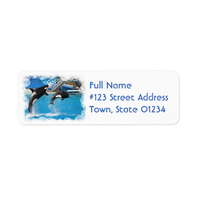 Étiquette de l'adresse de retour Orca Whales (Devant)