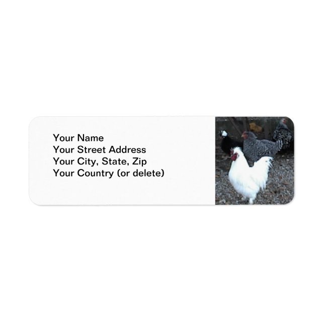 Étiquette de l'adresse de retour : Poulets (Devant)