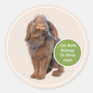 Étiquette de livre personnalisée Lapin Holland Lop