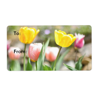 Étiquette De magnifiques tulipes au soleil