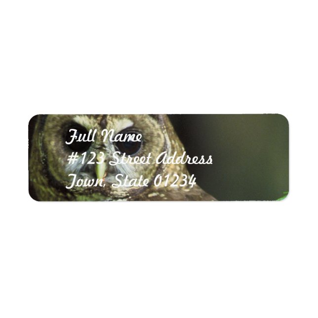 Étiquette de messagerie de la Chouette tachetée (Devant)