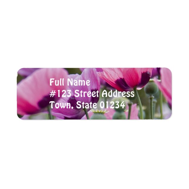 Étiquette de messagerie du champ Poppy (Devant)