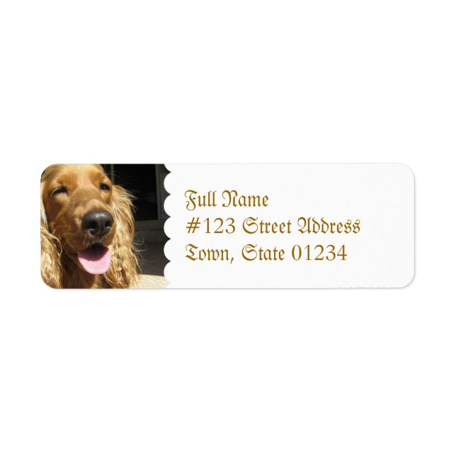 Étiquette de messagerie pour chien espagnol (Devant)