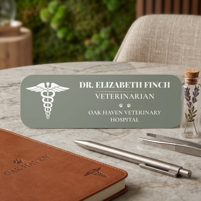 Étiquette de nom vétérinaire personnalisée DVM Cli (Custom Veterinary Name Tag DVM Clinic Caduceus Sage Green
)