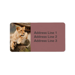 Étiquette de photo de lionne