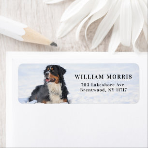 Étiquette de retour d'adresse de Chien de Montagne