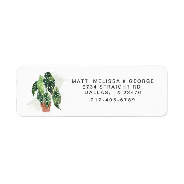 Étiquette de retour d'adresse de verdure de plante (Devant)
