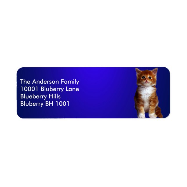 Étiquette de retour d'adresse Ginger Cat Blue Labe (Devant)