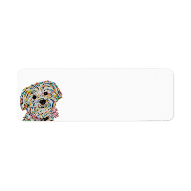 Étiquette de retour du mélange Bichon Terrier (Devant)