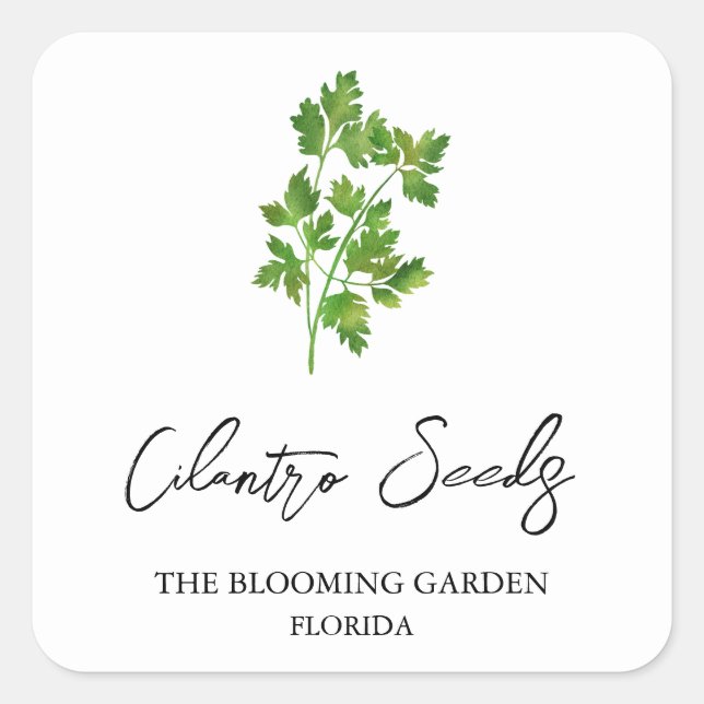 Étiquette de semences Cilantro (Devant)