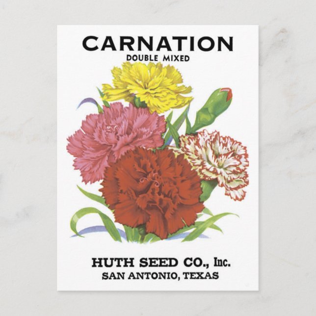Étiquette de semences San Antonio Tx Carte postale (Devant)