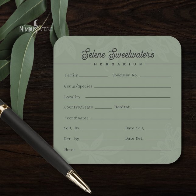 Étiquette de spécimen d'herbier botanique vintage  (Créateur téléchargé)