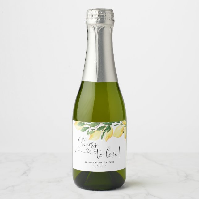 Étiquette de vin mousseux pour enterrement de vie  (Devant)